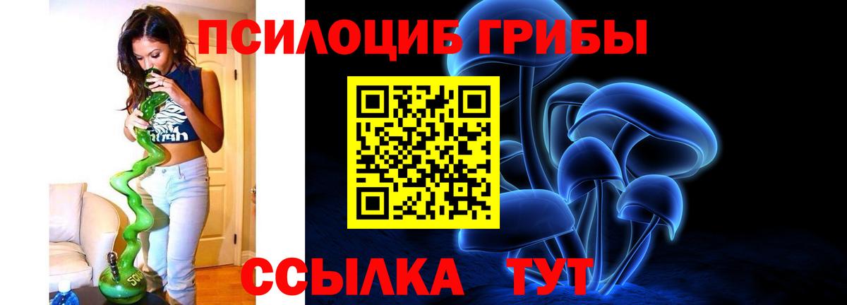 Псилоцибиновые грибы Psilocybe  Вход с VPN  сколько стоит  Новочебоксарск 